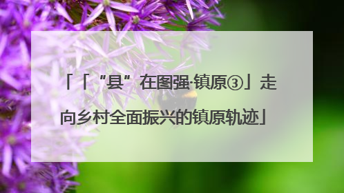 「“县”在图强·镇原③」走向乡村全面振兴的镇原轨迹