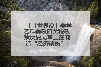 「世界说」美学者斥美政府关税政策反复无常正在制造“经济创伤”