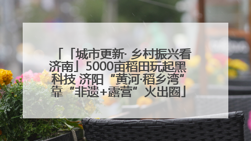 「城市更新· 乡村振兴看济南」5000亩稻田玩起黑科技 济阳“黄河·稻乡湾”靠“非遗+露营”火出圈