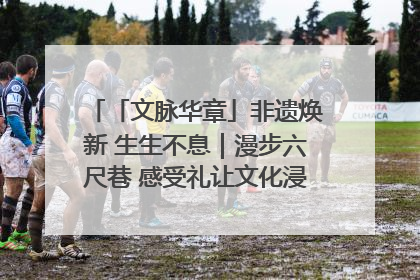「文脉华章」非遗焕新 生生不息｜漫步六尺巷 感受礼让文化浸润的“巷”往生活