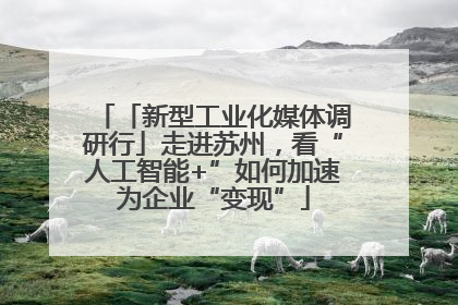 「新型工业化媒体调研行」走进苏州，看“人工智能+”如何加速为企业“变现”