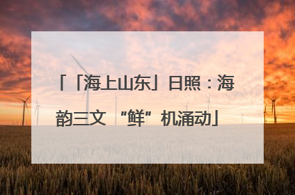 「海上山东」日照：海韵三文 “鲜”机涌动