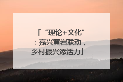 “理论+文化”：嘉兴黄岩联动，乡村振兴添活力