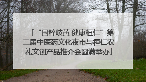 “国粹岐黄 健康桓仁”第二届中医药文化夜市与桓仁农礼文创产品推介会圆满举办