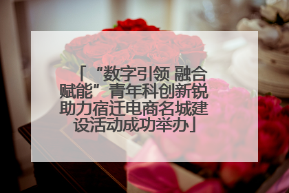 “数字引领 融合赋能”青年科创新锐助力宿迁电商名城建设活动成功举办