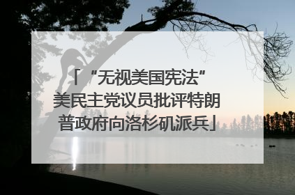 “无视美国宪法” 美民主党议员批评特朗普政府向洛杉矶派兵