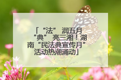 “法” 润五月 “典” 亮三湘！湖南“民法典宣传月”活动热潮涌动