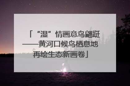 “湿”情画意鸟翩跹——黄河口候鸟栖息地再绘生态新画卷