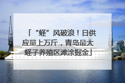 “蛏”风破浪！日供应量上万斤，青岛最大蛏子养殖区滩涂掘金