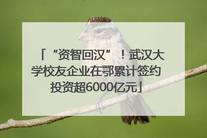 “资智回汉”！武汉大学校友企业在鄂累计签约投资超6000亿元