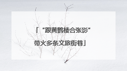 “跟黄鹤楼合张影”带火多条文旅街巷