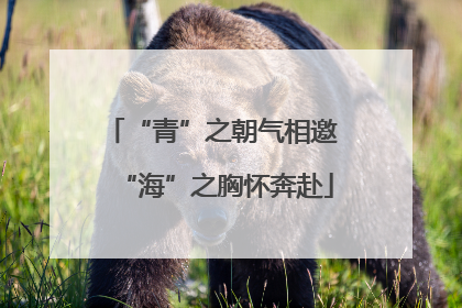 “青”之朝气相邀 “海”之胸怀奔赴