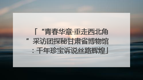 “青春华章·重走西北角”采访团探秘甘肃省博物馆：千年珍宝诉说丝路辉煌