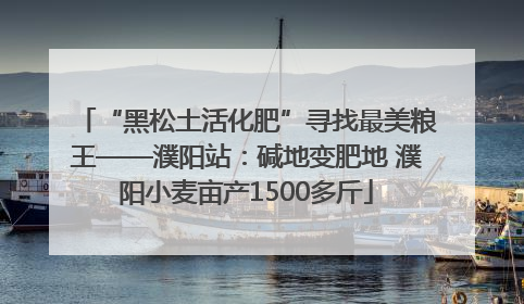 “黑松土活化肥”寻找最美粮王——濮阳站：碱地变肥地 濮阳小麦亩产1500多斤