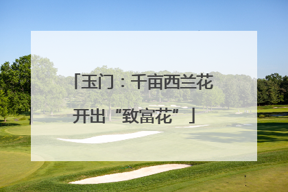 玉门：千亩西兰花开出“致富花”
