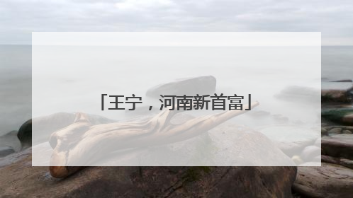 王宁，河南新首富