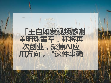 王自如发视频感谢董明珠雷军，称将再次创业，聚焦AI应用方向，“这件事确实来钱快”