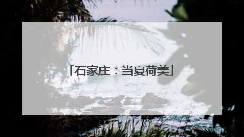 石家庄：当夏荷美