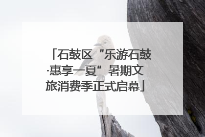 石鼓区“乐游石鼓·惠享一夏”暑期文旅消费季正式启幕