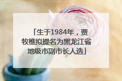 生于1984年，贾牧樵拟提名为黑龙江省地级市副市长人选