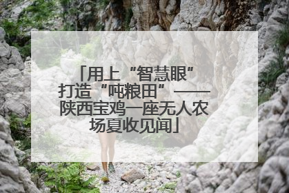 用上“智慧眼” 打造“吨粮田”——陕西宝鸡一座无人农场夏收见闻
