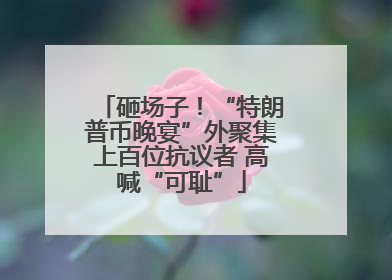 砸场子！“特朗普币晚宴”外聚集上百位抗议者 高喊“可耻”