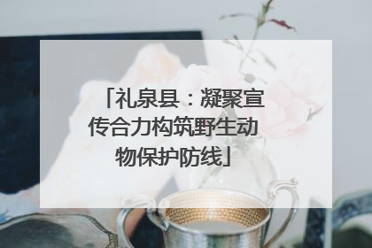 礼泉县：凝聚宣传合力构筑野生动物保护防线