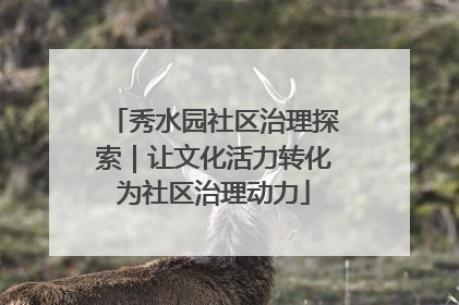 秀水园社区治理探索｜让文化活力转化为社区治理动力