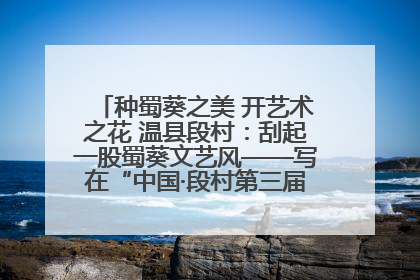种蜀葵之美 开艺术之花 温县段村：刮起一股蜀葵文艺风——写在“中国·段村第三届蜀葵画展”开展之际