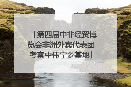 第四届中非经贸博览会非洲外宾代表团考察中伟宁乡基地