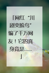 网红“川剧变脸鸟”骗了千万网友！它的真身竟是……