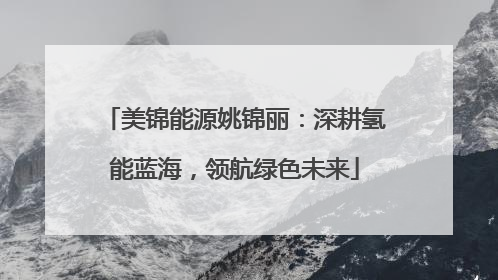 美锦能源姚锦丽：深耕氢能蓝海，领航绿色未来