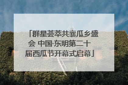 群星荟萃共襄瓜乡盛会 中国·东明第二十届西瓜节开幕式启幕
