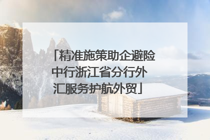 精准施策助企避险 中行浙江省分行外汇服务护航外贸