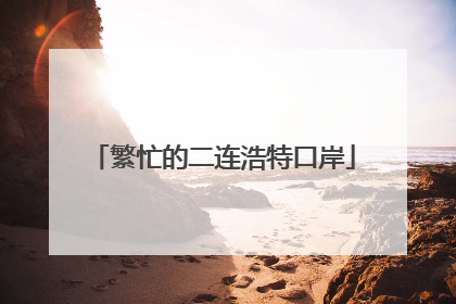 繁忙的二连浩特口岸