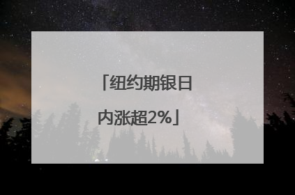纽约期银日内涨超2%