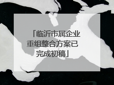 临沂市属企业重组整合方案已完成初稿