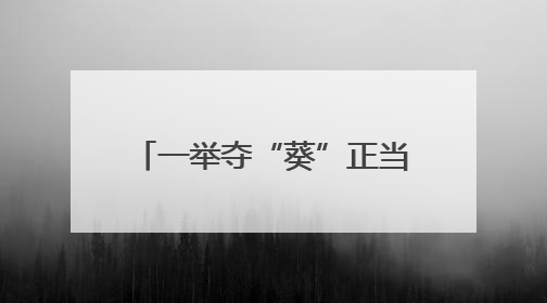 一举夺“葵”正当时——有一种叫云南的生活之365天