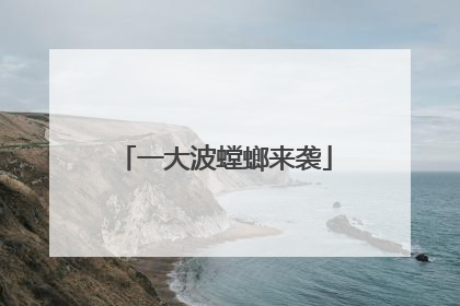 一大波螳螂来袭