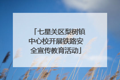 七星关区梨树镇中心校开展铁路安全宣传教育活动