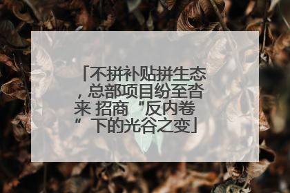 不拼补贴拼生态，总部项目纷至沓来 招商“反内卷”下的光谷之变