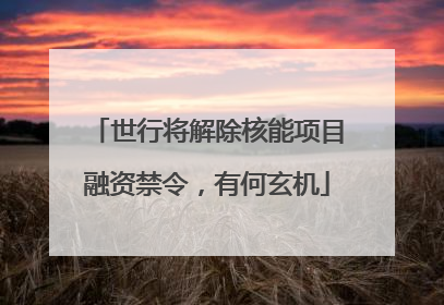 世行将解除核能项目融资禁令，有何玄机