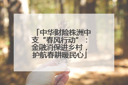 中华财险株洲中支“春风行动”：金融消保进乡村，护航春耕暖民心