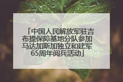 中国人民解放军驻吉布提保障基地分队参加马达加斯加独立和建军65周年阅兵活动