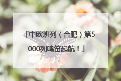 中欧班列（合肥）第5000列鸣笛起航！