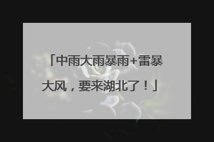中雨大雨暴雨+雷暴大风，要来湖北了！