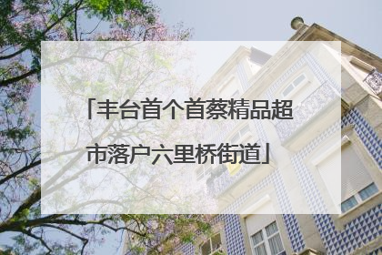 丰台首个首蔡精品超市落户六里桥街道