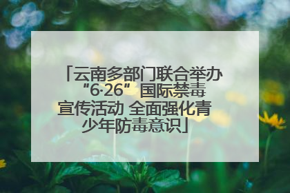 云南多部门联合举办“6·26”国际禁毒宣传活动 全面强化青少年防毒意识