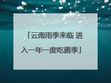 云南雨季来临 进入一年一度吃菌季