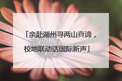 亲赴湖州寻两山真谛，校地联动话国际新声